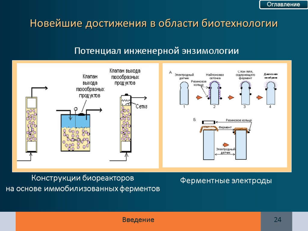 Конструкции биореакторов на основе иммобилизованных ферментов Потенциал инженерной энзимологии Ферментные электроды Новейшие достижения в